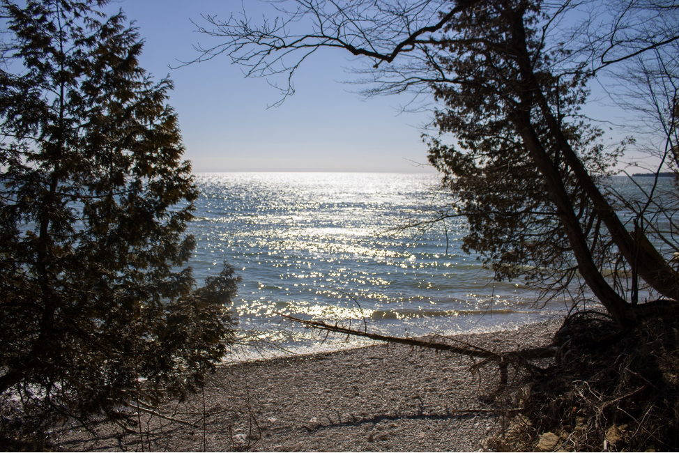 What was your most telling financial analysis?&nbsp; Which options do you use?