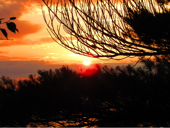 “You live in a grim universe. That’s risk management for you.” — Max Gladstone