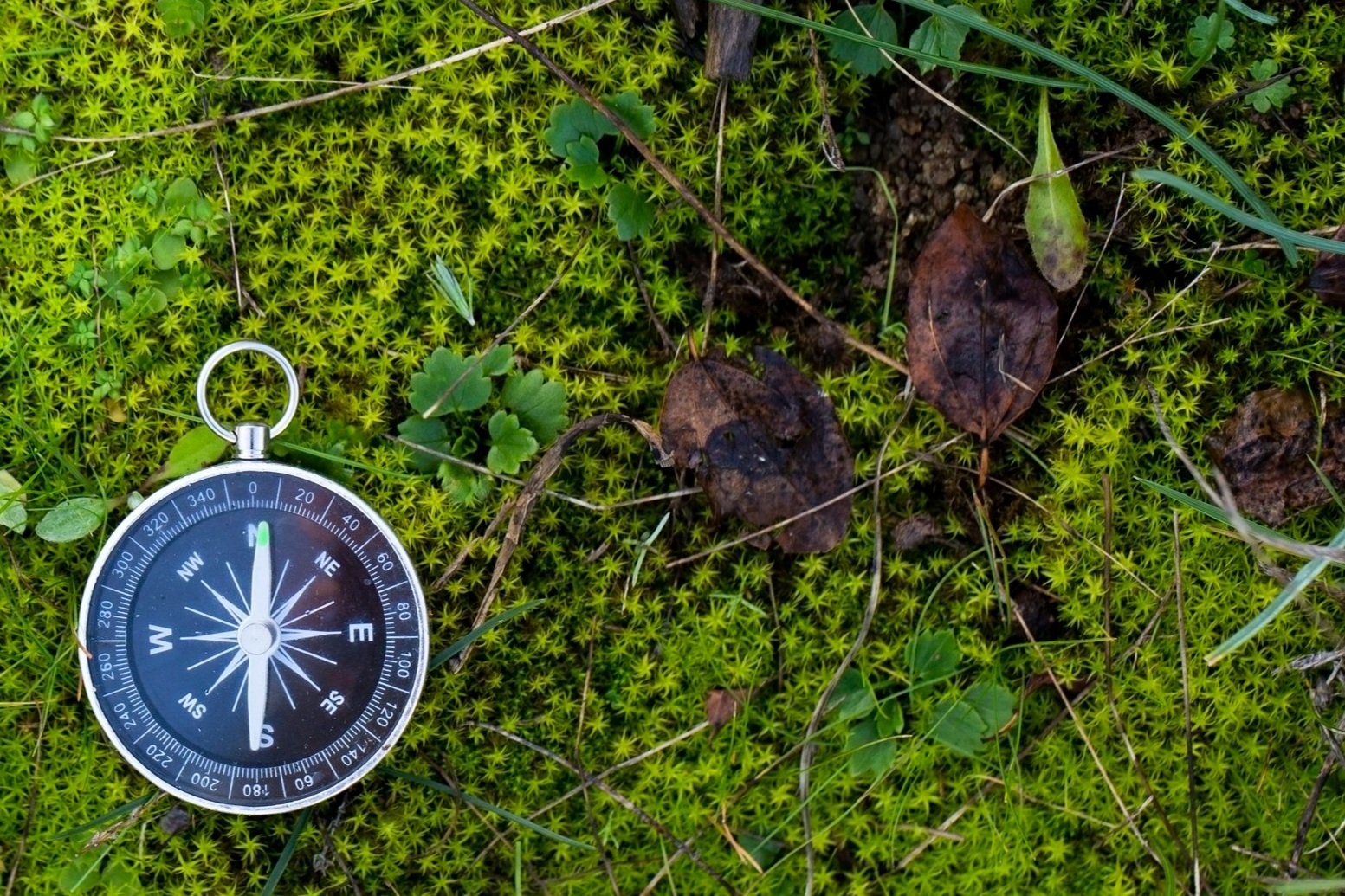 New Year’s Resolution – A Blog Series