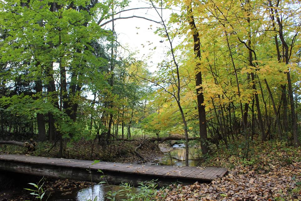 New Year’s Resolution – A Blog Series